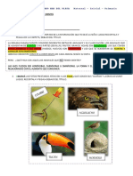 Ciencias Naturales 6 - 10