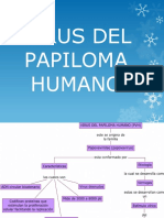 Virus Del Papiloma Humano 2