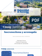 FEOCROMOCITOMA