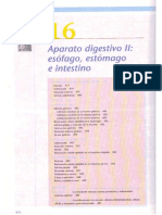 Cap 16-Aparato Digestivo II Esófago, Estomago e Intestino