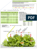 Poster Congreso Seaic V3