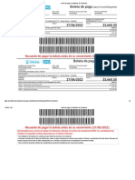 Boleta de Pago - Verificación Del Automotor