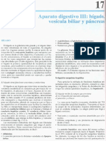 Cap 17-Aparato Digestivo III - Hígado, Vesícula Biliar y Páncreas