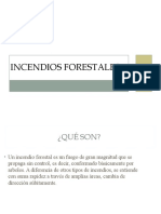 Causas y efectos de los incendios forestales