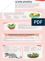 Infografía Ecologia