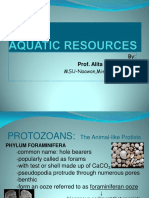 1 Aquatic Resources