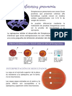 Streptococcus Pneumonia