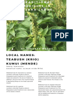 Traditional Medicine in Sierra Leone: Teabush 