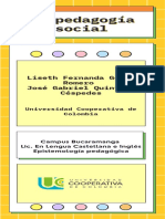 Infografía Sobre La Pedagogía Social