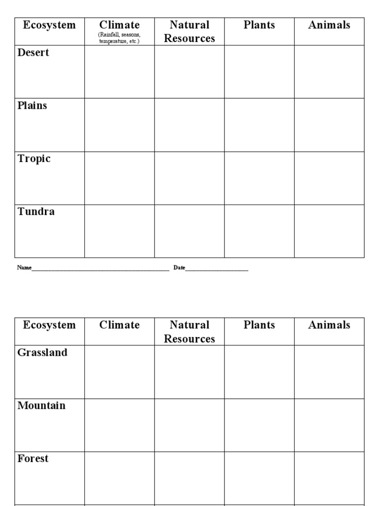 Ecosystem Graphic Organizer PDF
