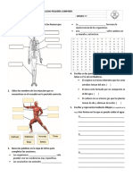 Evaluación Corte 2 3er Periodo Grado 5° CN