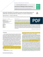 Enzymatic Degradation and Biofilm Formation During Biodegradation of Polylactide and Polycaprolactone Polymers in Various Environments