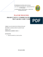 Plan de Negocios