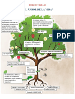 Hoja de Trabajo Ocv - Arbol de Vida