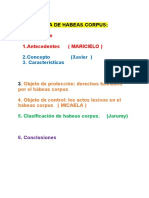 Estructura de Habeas Corpus