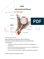 9d Orbit-Blood Vessels & Nerves-Dr-Gosai