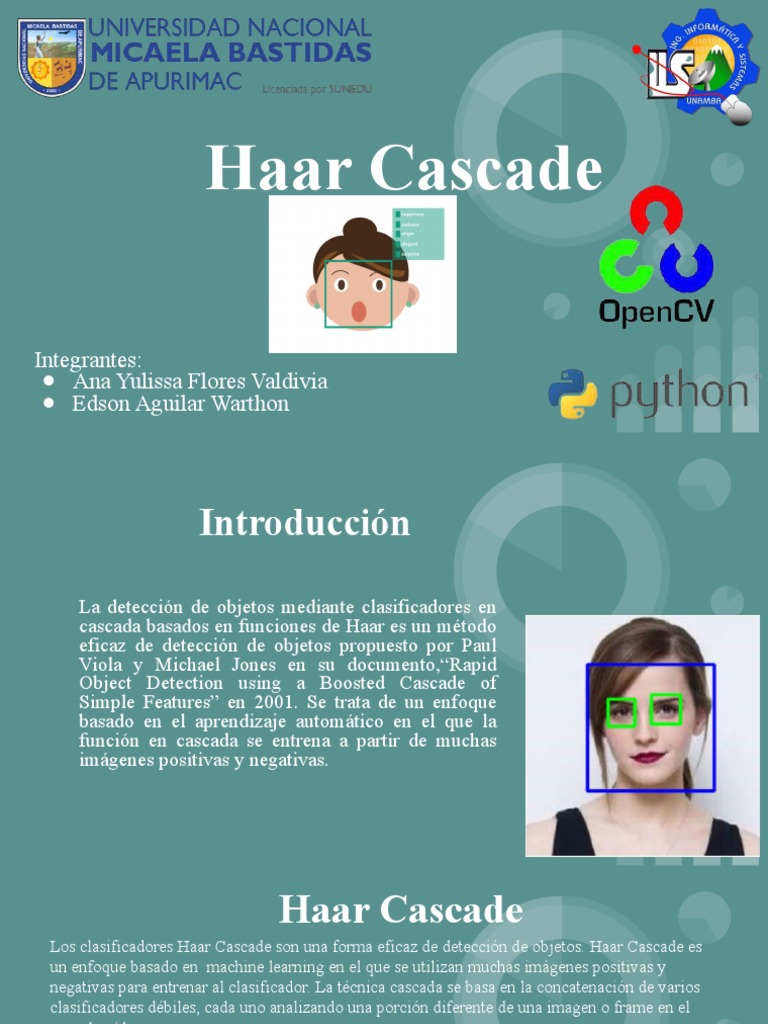 Detección de Objetos con Haar Cascade | PDF | Matemáticas Aplicadas ...