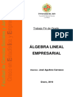 Agebra Lineal Empresarial