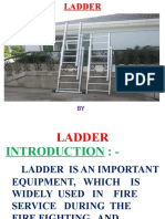 Extenstion Ladder