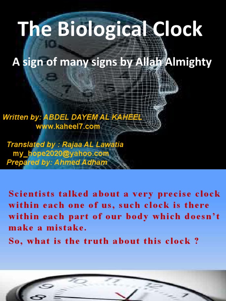 Biological Clock PDF Circadian Rhythm God In Islam