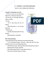 Chapter 7 - Energy and Metabolism