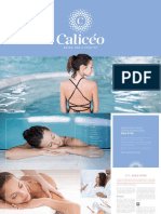 CALICEO-Brochure-2022-A5-TOULOUSE WEB