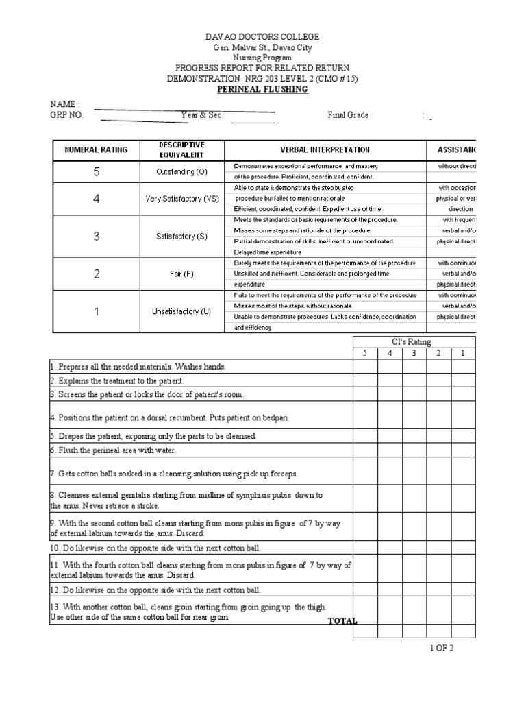 Perineal Flushing PDF Health Care Health Sciences