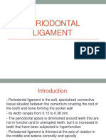 Periodontal Ligament