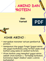 4 Protein