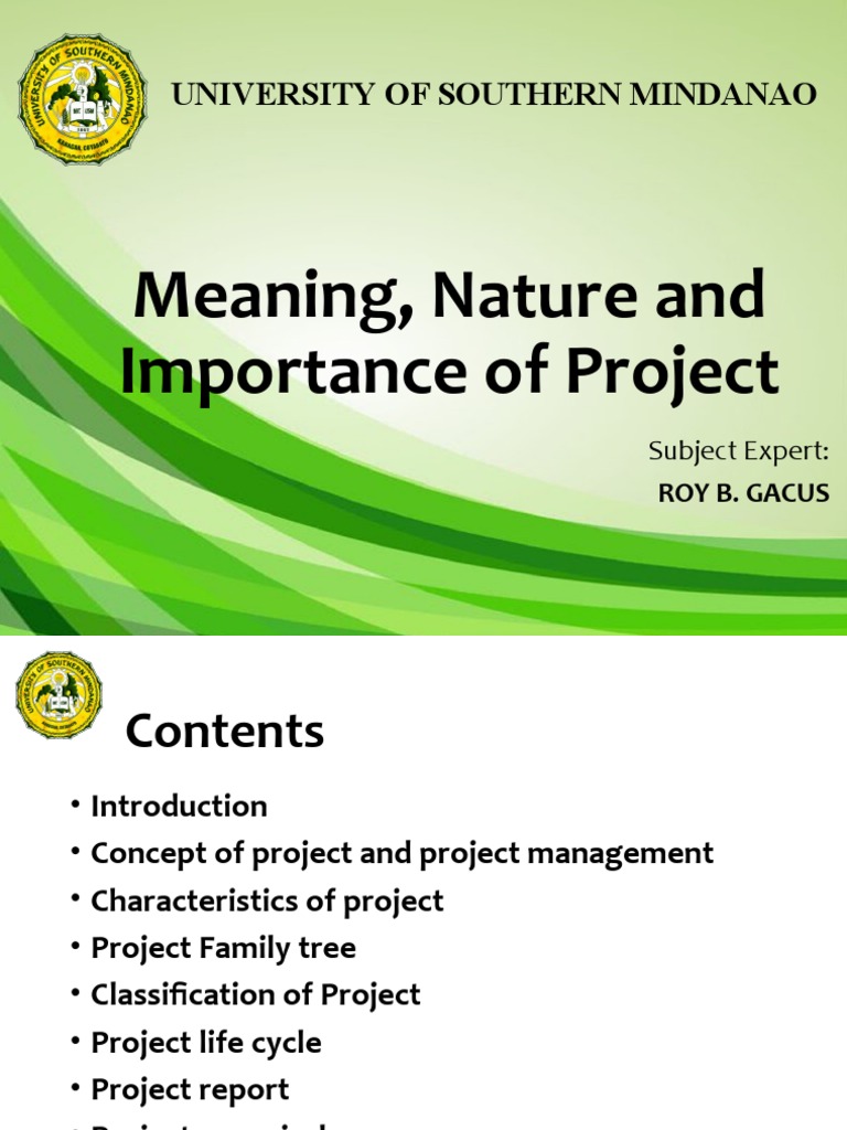 Understanding Project Nature and Importance | PDF | Project Management ...