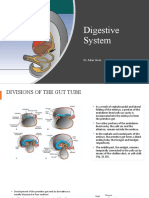 Digestive System