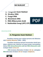 Asam Nukleat