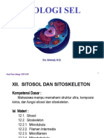 12.a. Sitosol Dan Sitoskelet