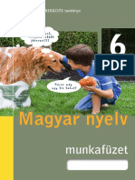 Nyelvtan 6 munkafüzet