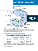 Better Life Initiative Country Note Slovenia