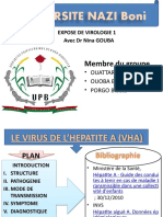 Virus de Hepatite A