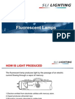 Training Fluorescent Lamps USA