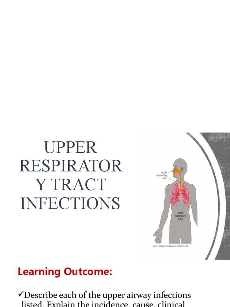Upper Respiratory Tract Infections | PDF | Common Cold | Respiratory ...
