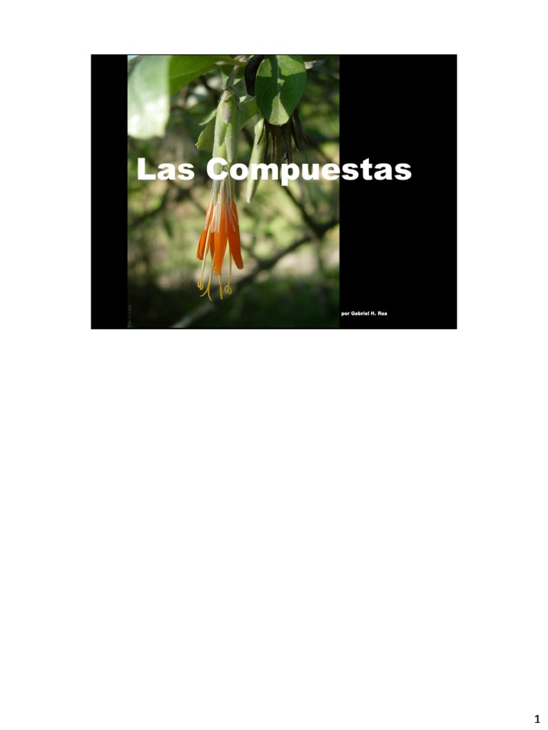 Compuestas | PDF | Flores | Fruta