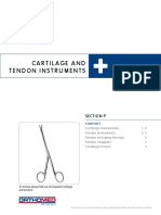 P Cartilage Tendon Instruments - BAK.BAK