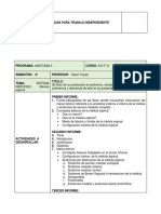 Copia de GUIA TRABAJO INDEPENDIENTE ANATOMIA II - 2017