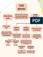 Tejido Nervioso Mapa