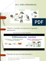 S 4 Cadena y Redes Alimenticias