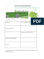 How Are Leaves Adapted To Carry Out Photosynthesis HW