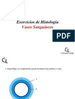 Exercícios de Histologia - Vasos Sanguíneos - 2022.2