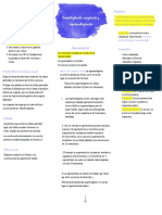 Espermatogenesis Mapa Nathalia