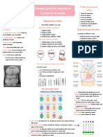 Mapa Princip y Post de Preparacion Cav Dentales Nathalia