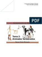 Conocimiento Del Medio 5º Primaria Tema 2 - Animales Vertebrados - PDF Descargar Libre