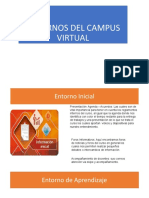 Entornos Del Campus Virtual