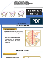 Estatica Fetal